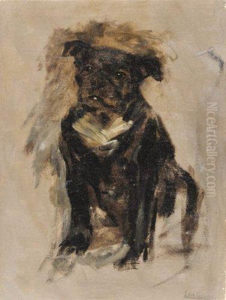 Chien Assis - view 1