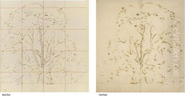 Study For 'elm Trees In Old Hall Park - view 1