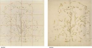 Study For 'elm Trees In Old Hall Park Study For 'elm Trees In Old Hall Park