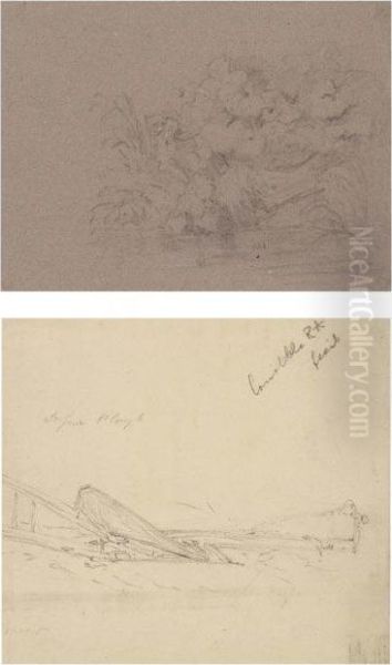 Study Of Plants And Rocks; - view 1