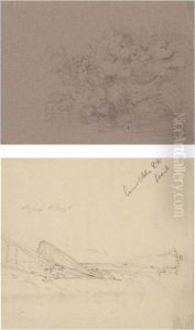 Study Of Plants And Rocks; by John Constable