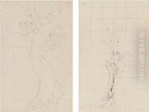 Tree Study For Helmingham Dell by John Constable