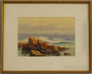Rocky Shore Rocky Shore
