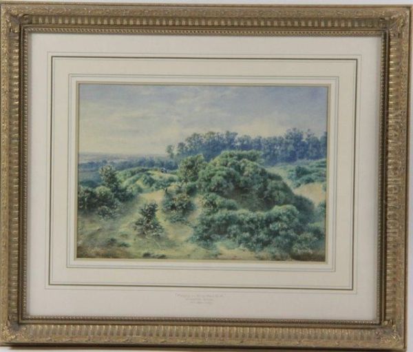 Playing On Hampstead Heath - view 1