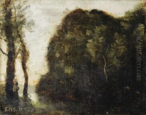 Massif D'arbres Au Soleil Couchant