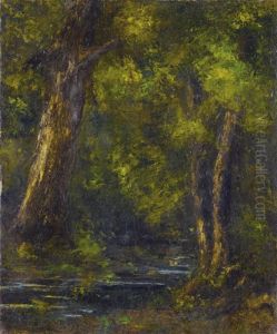 Riviere Dans Un Sous-bois