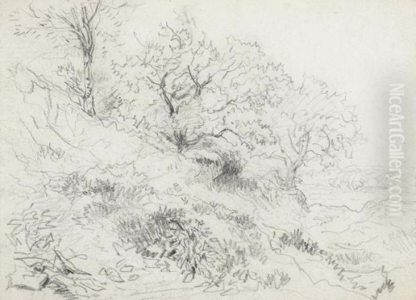 Welsh Landscape - view 1