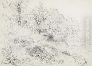 Welsh Landscape