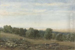 Bodelwyddan Near St Asaph In The Vale Of Clwyd, North Wales by David I Cox