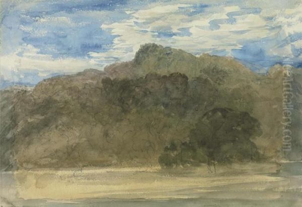 A Wooded Landscape - view 1