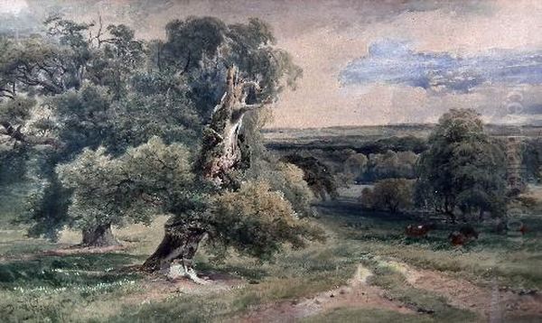 Wooded Valley Landscape With
Gnarled Tree To Foreground And Cattle In Meadow To Middle Distance - view 1