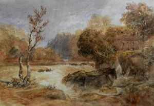 Cenarth Falls On The River Teifi, Cardiganshire by David I Cox