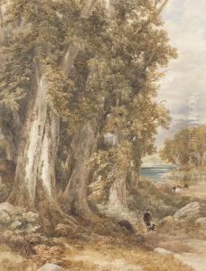 The Woodland Edge by David Cox