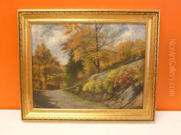 Paysage - view 1