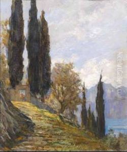 Veduta Del Lago Di Garda
