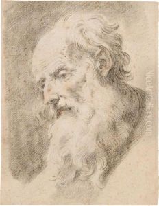 Testa Di Vecchio by Donato Creti