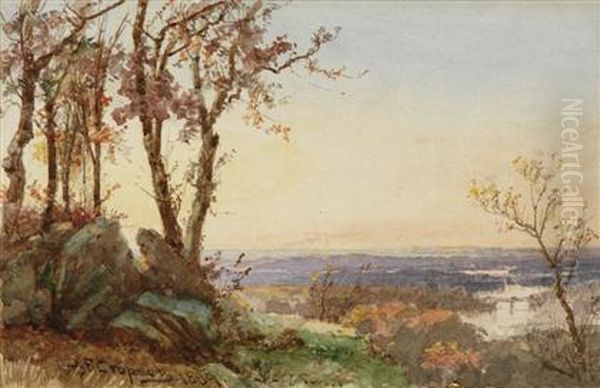 Panoramic Landscape, Sunset - view 1