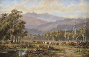Droving Cattle