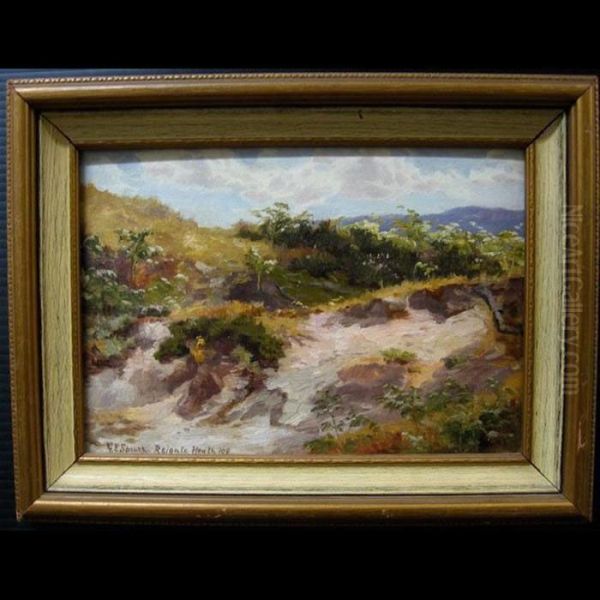 Reigate Heath (surrey) - view 1