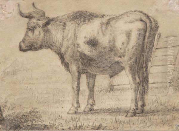 Vache - view 1