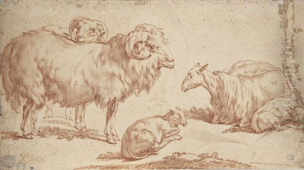 Moutons - view 1