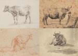 Vache Vache