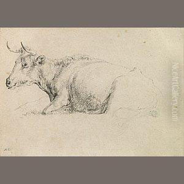 A Study Of A Cow - view 1