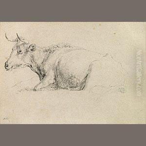 A Study Of A Cow by Aelbert Cuyp