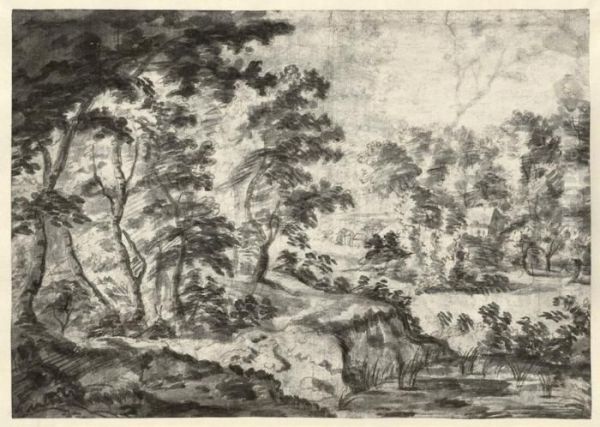 Weite Baumlandschaft Mit Kleinem Dorf - view 1