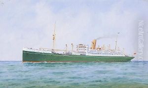 Ss Moreton Bay On Open Waters Ss Moreton Bay On Open Waters