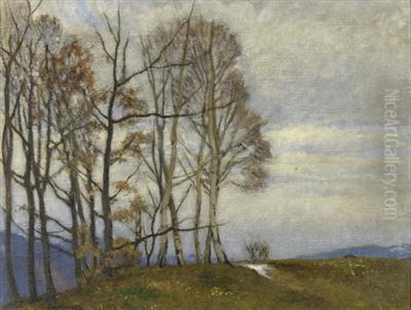 Hugellandschaft Mit Baumgruppe - view 1