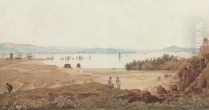 A Panoramic View Towards Star Cross And Powderham From Near The Globe Inn