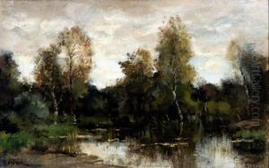 Bomen Aan Het Water In Frans Landschap Bomen Aan Het Water In Frans Landschap