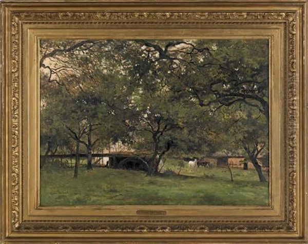 Landscape - view 1