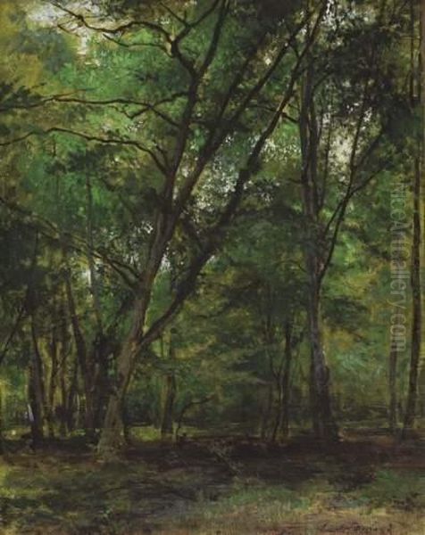 In Het Bos - view 1