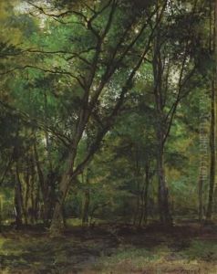 In Het Bos
