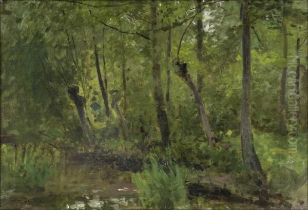 Forest Pond - view 1