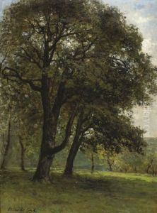 Landschap Met Groteeiken