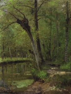 Rivier In Hetbos