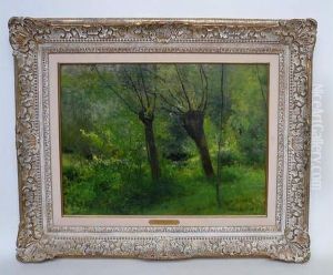 Le Vieux Saule A Gasny