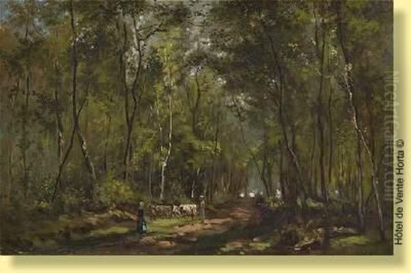 Troupeau Dans Un Chemin Arbore - view 1
