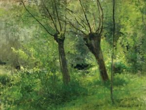 Les Saules Les Saules
