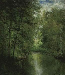 Riviere Dans Le Bois