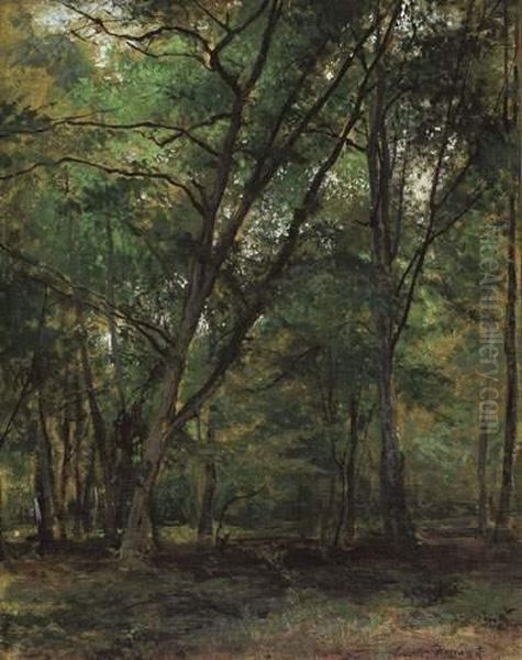 Dans Le Bois - view 1