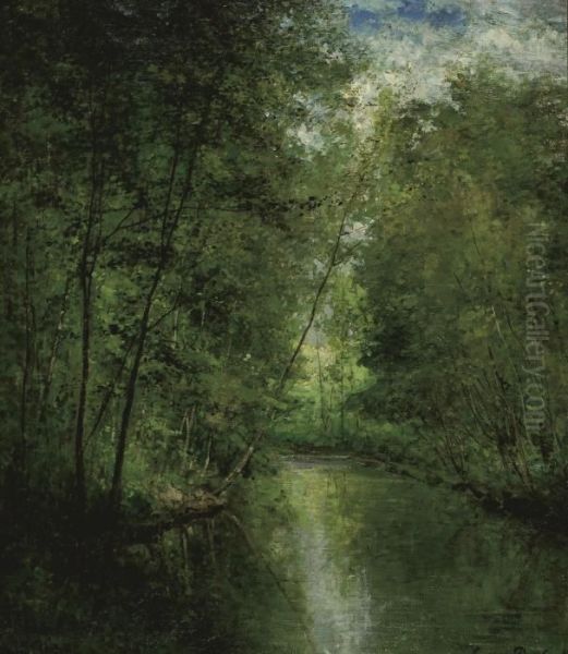 River In The Forest - view 1