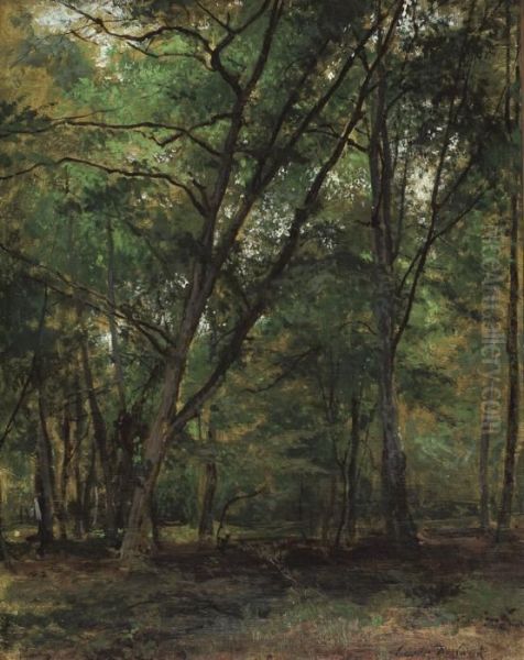 In The Forest - view 1