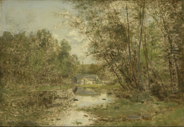 Landscape - view 1