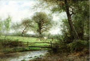 Vaches Au Pre Vaches Au Pre