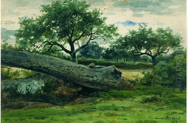 Tronc D'arbre Dans Un Paysage - view 1