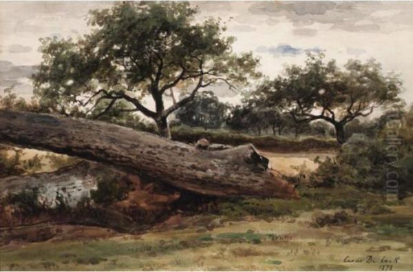 Fallen Trees - view 1
